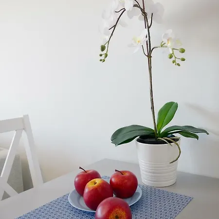 Apartment Blue Paradise *