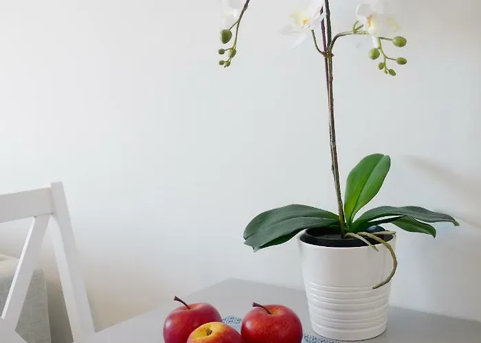 דירה Blue Paradise *